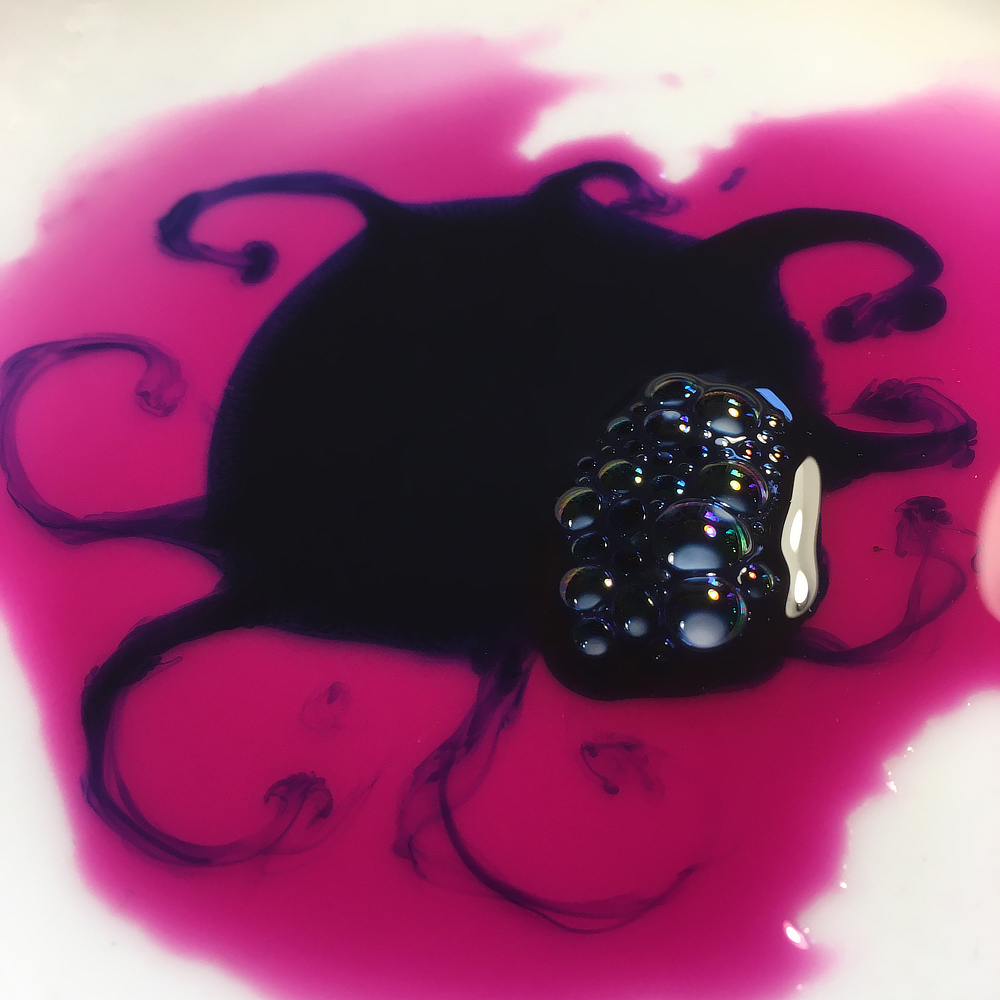 Tintenkäfer im Farbwasser